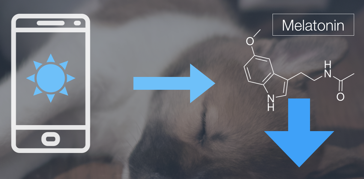 biological mechanism of blue light and lost sleep