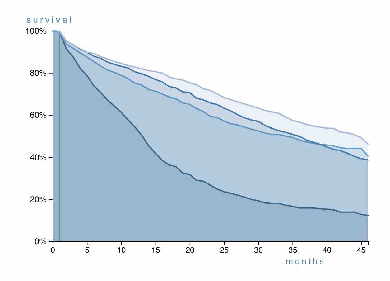 breast cancer survival by subtype