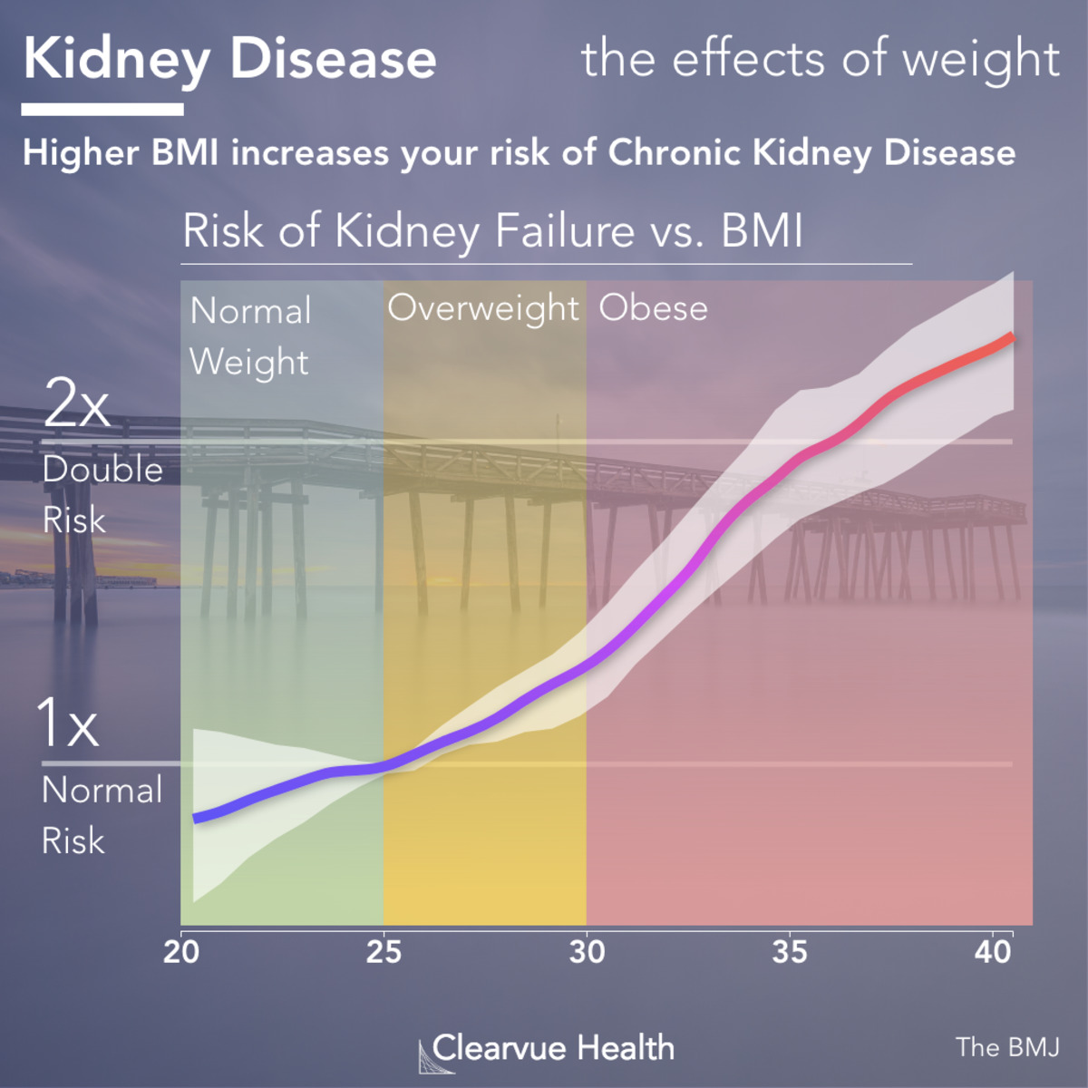 3 Charts Visual Study Body Weight (BMI) and Chronic Kidney Disease