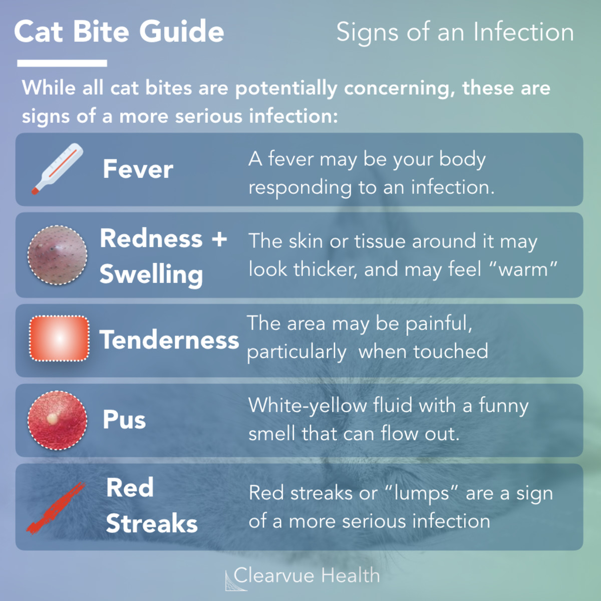 Is cat bite painful?