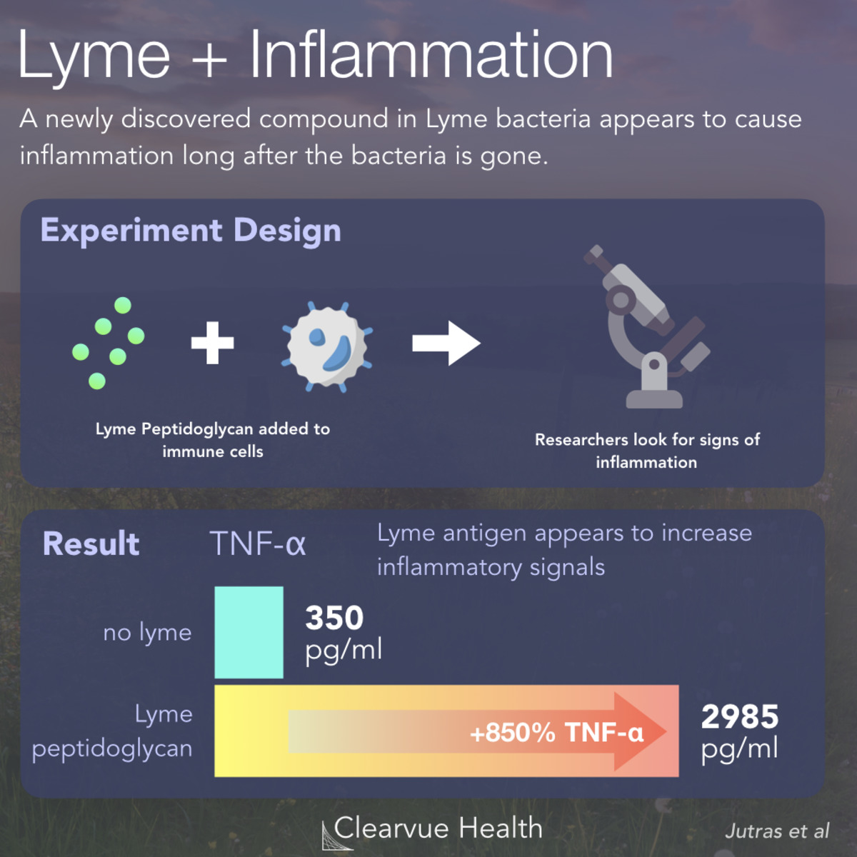 4 charts mechanism for chronic lyme arthritis visualized science