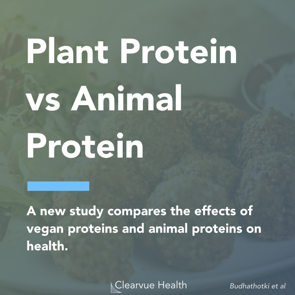 3 Charts Vegan Protein vs Animal Protein Visualized Science