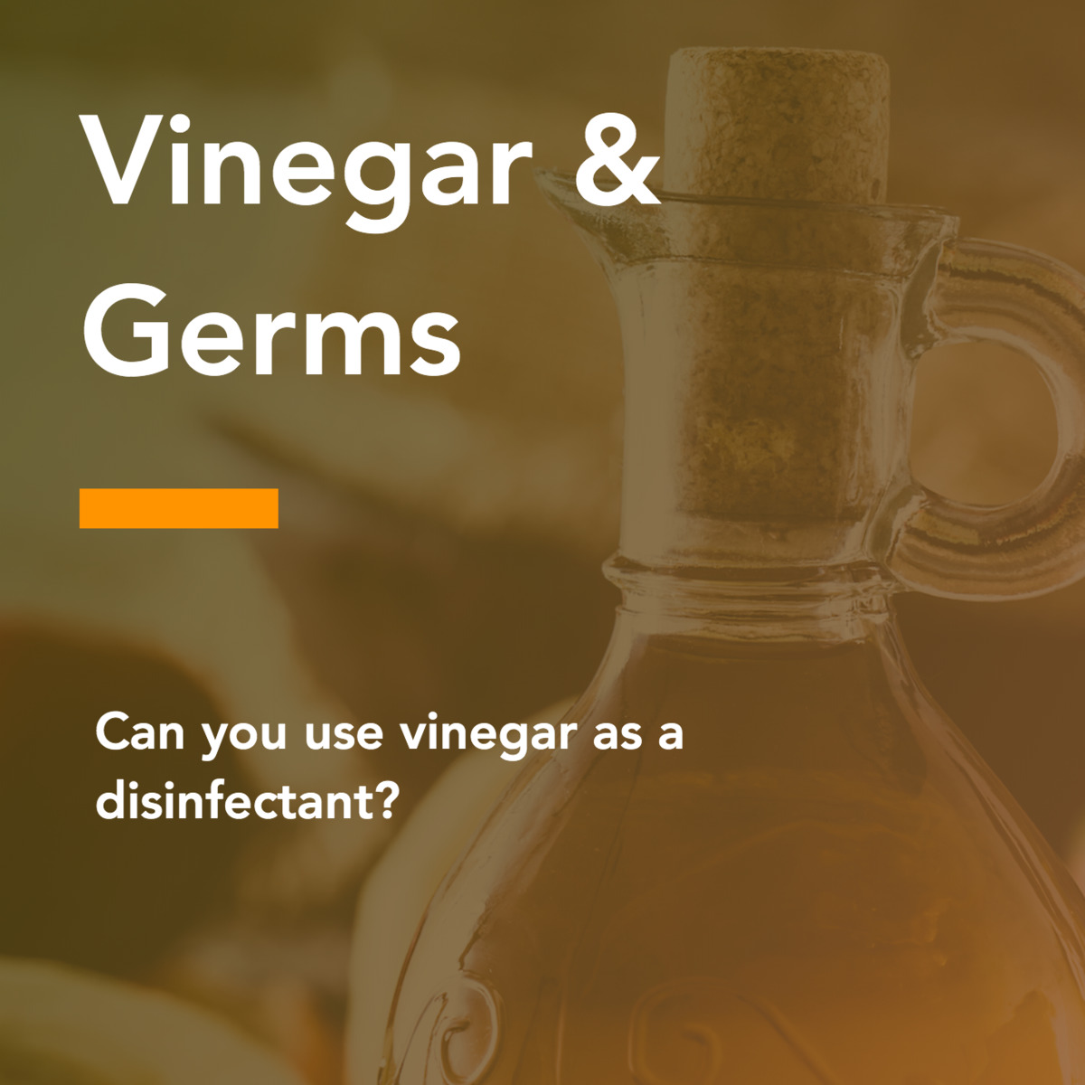 Can vinegar kill viruses? Visualized Science