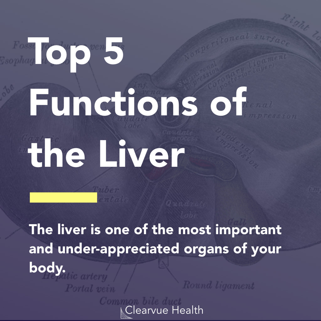 The liver is one of the most important and under-appreciated organs of your body.