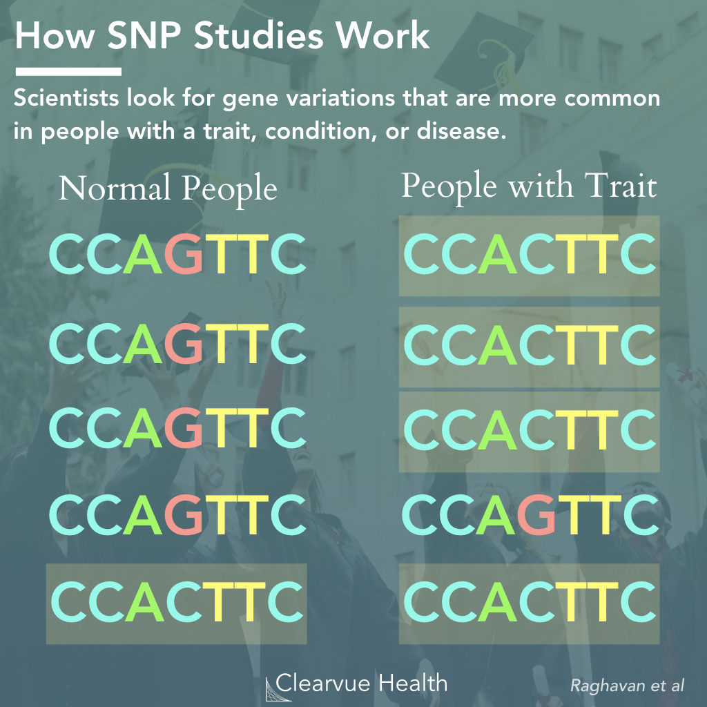 How SNP Studies Work