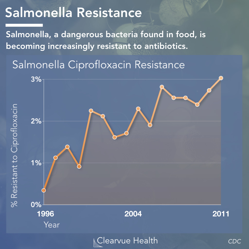 Antibiotic Resistance to Ciprofloxacin in Salmonella