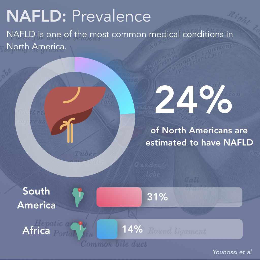 Why NAFLD (Non-Alcoholic Fatty Liver Disease) Matters
