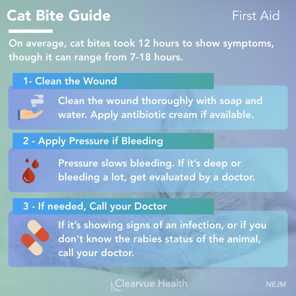 3 Charts | Cat Bite Guide: Symptoms and First Aid