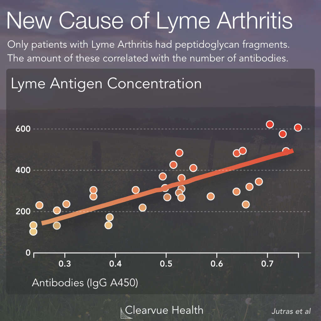 Lyme peptidoglycan in Lyme arthritis patients