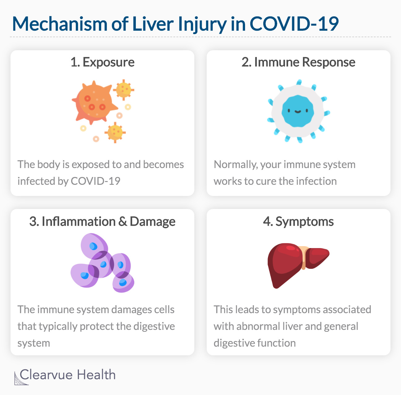 Mechanism of Liver Injury in COVID-19