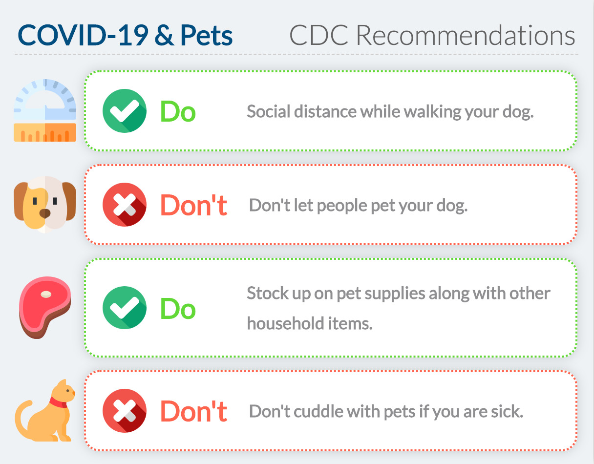 CDC Recommendations on COVID-19 and pets