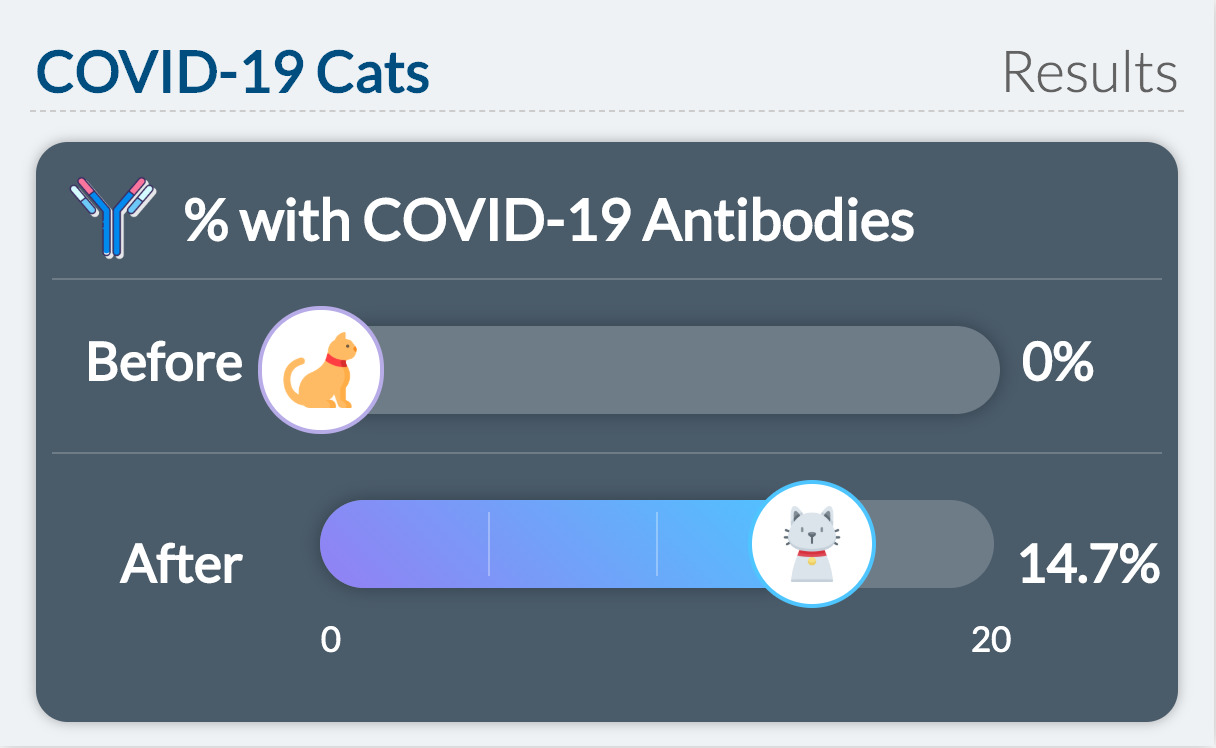 Data on COVID-19 and cats
