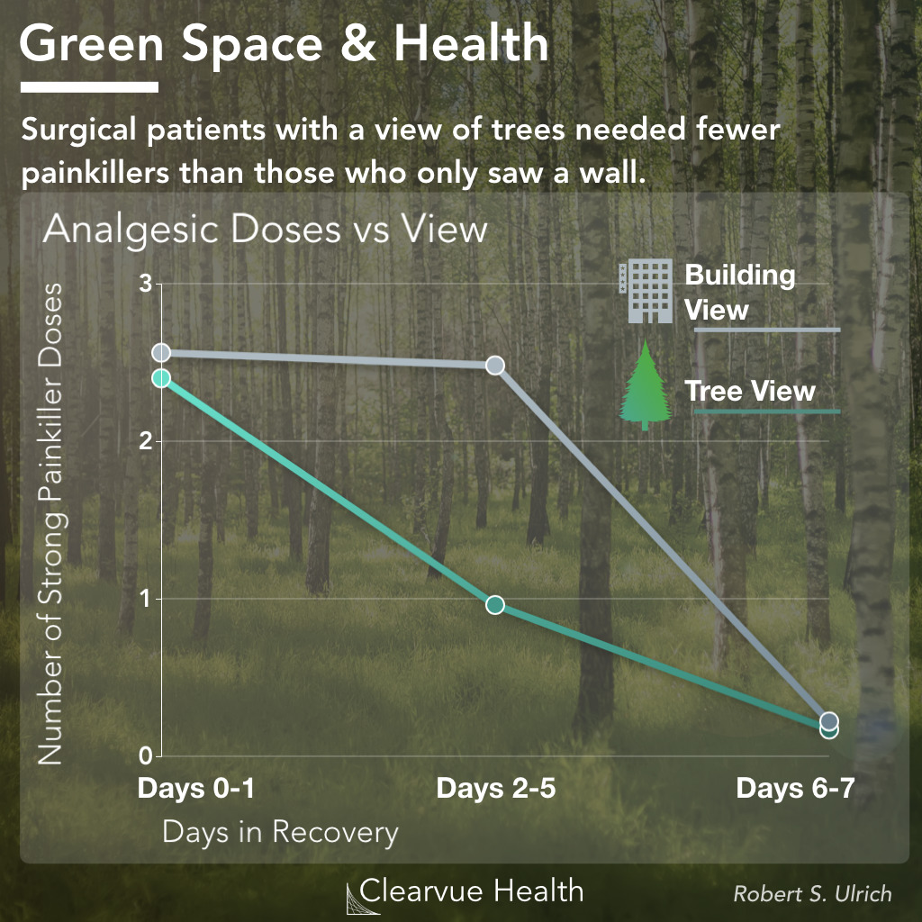 trees and nature improve surgical recovery