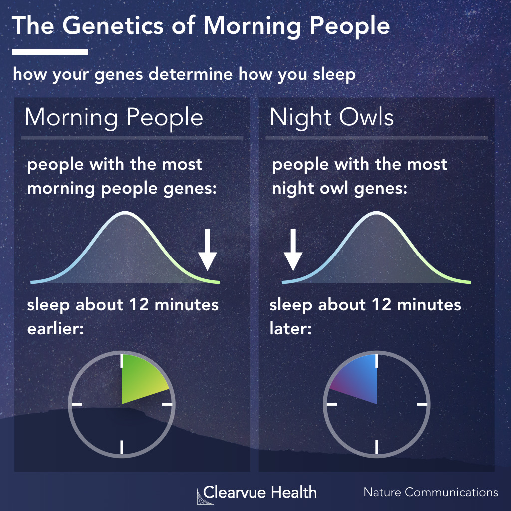 Genetics of morning people