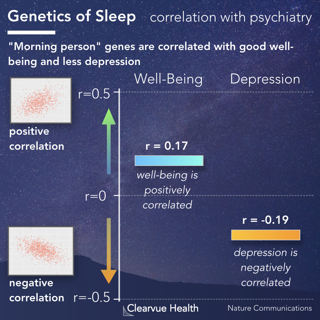 Melatonin and circadian rhythm