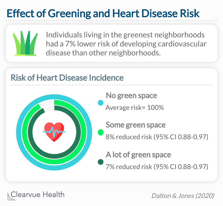 Individuals living near a lot of green space had a 7% lower risk of heart disease than other neighborhoods after adjusting for age, sex, BMI, prevalent diabetes and socioeconomic status.