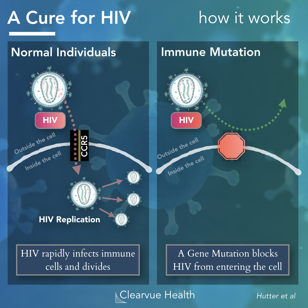 How HIV Immunity Works