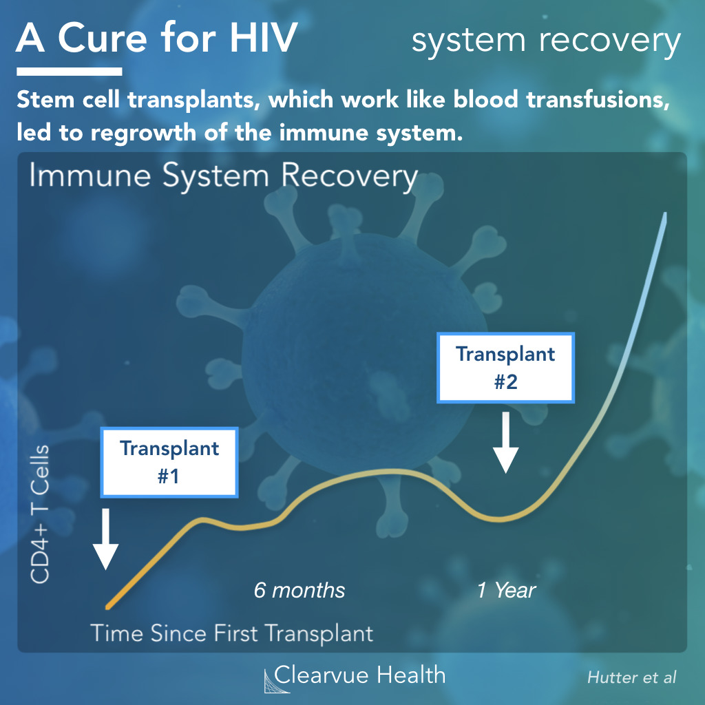 Immune System Recovery with Stem Cell Treatments in HIV