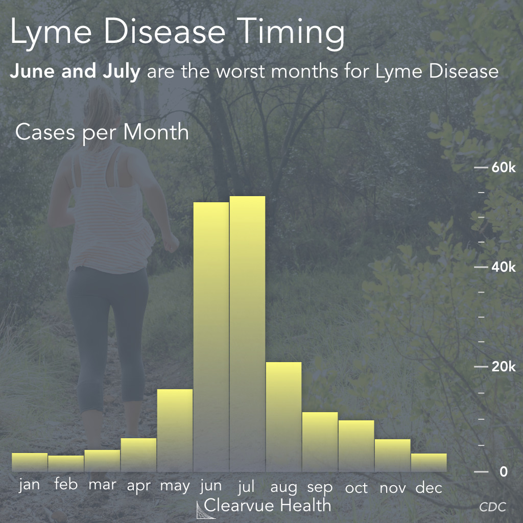 Lyme Disease Risk by Month