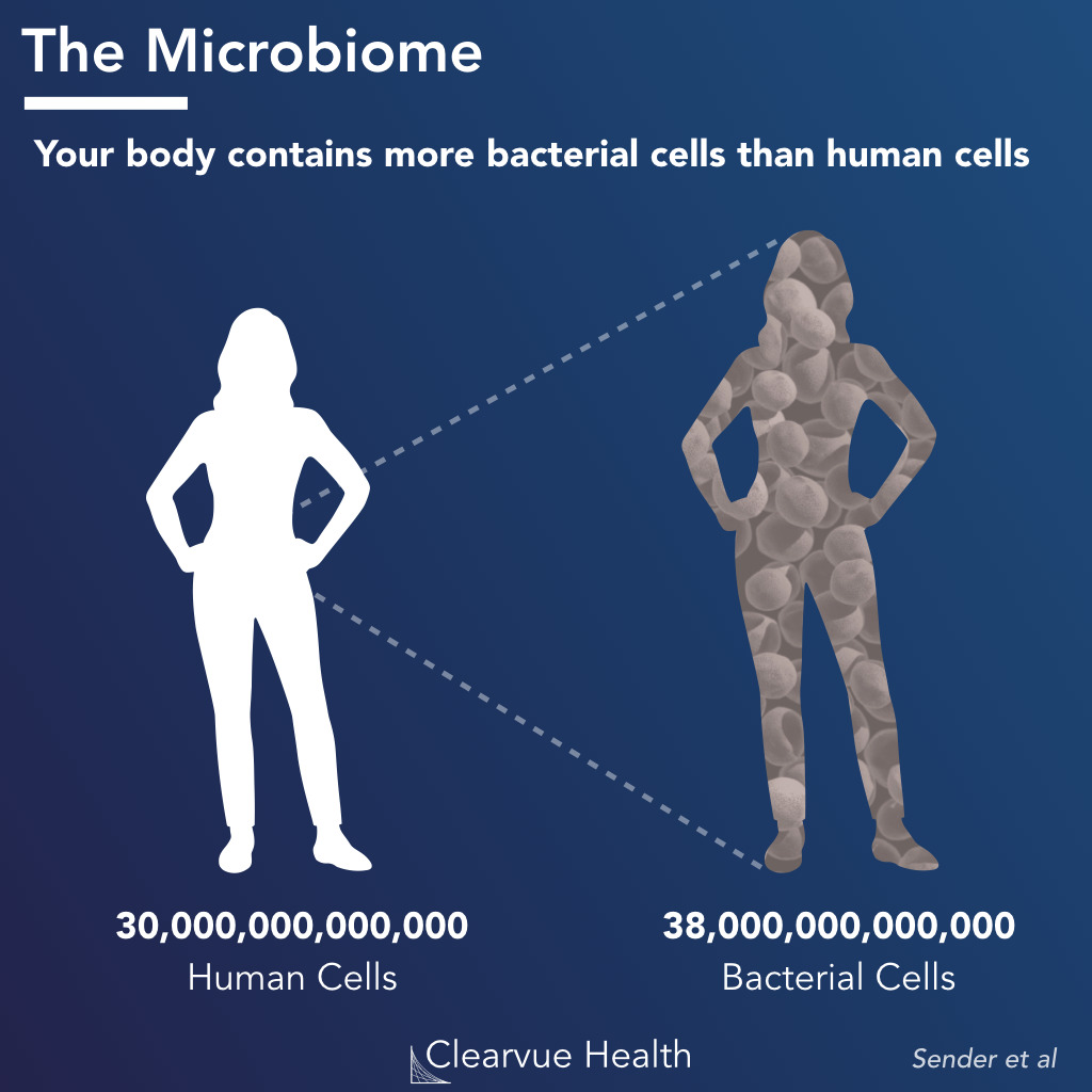 Cells in the microbiome