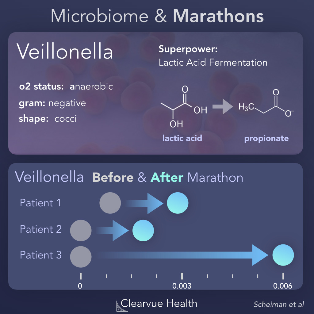The Microbiome & Marathons