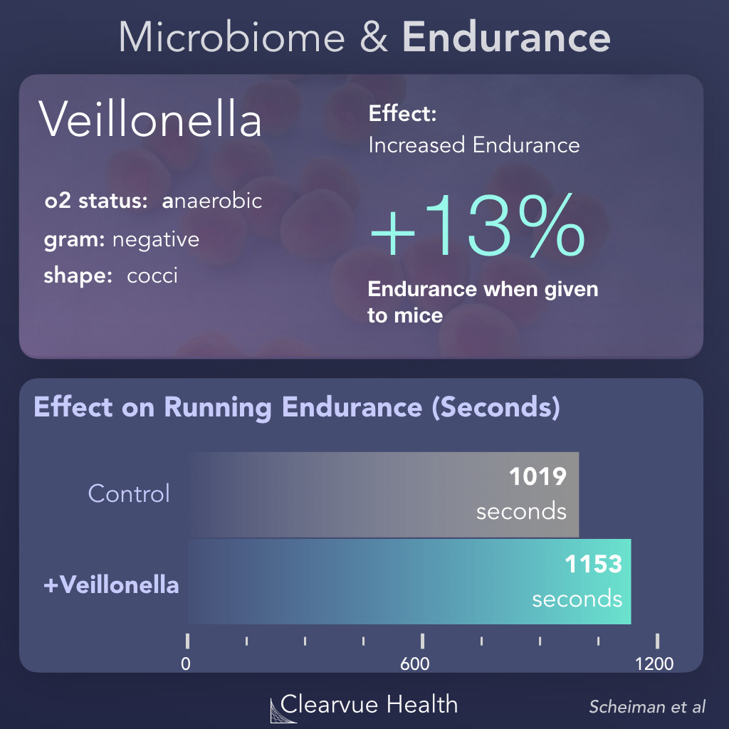 Veillonella and Running Endurance