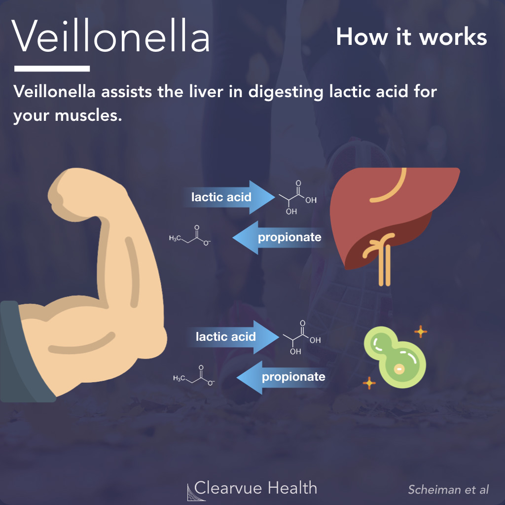 How Veillonella Works For Athletes