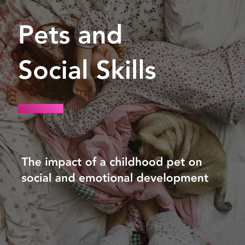 pets and socials skills title