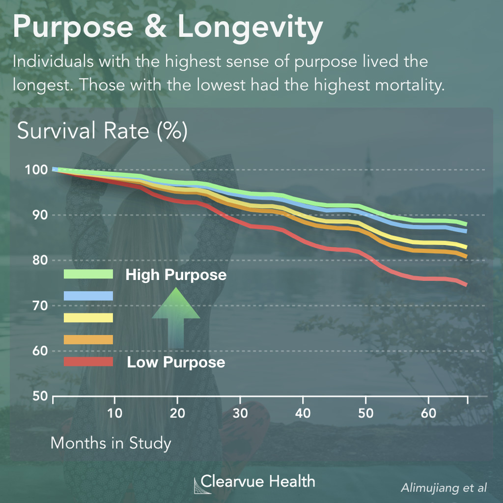 Purpose & Longevity Statistics