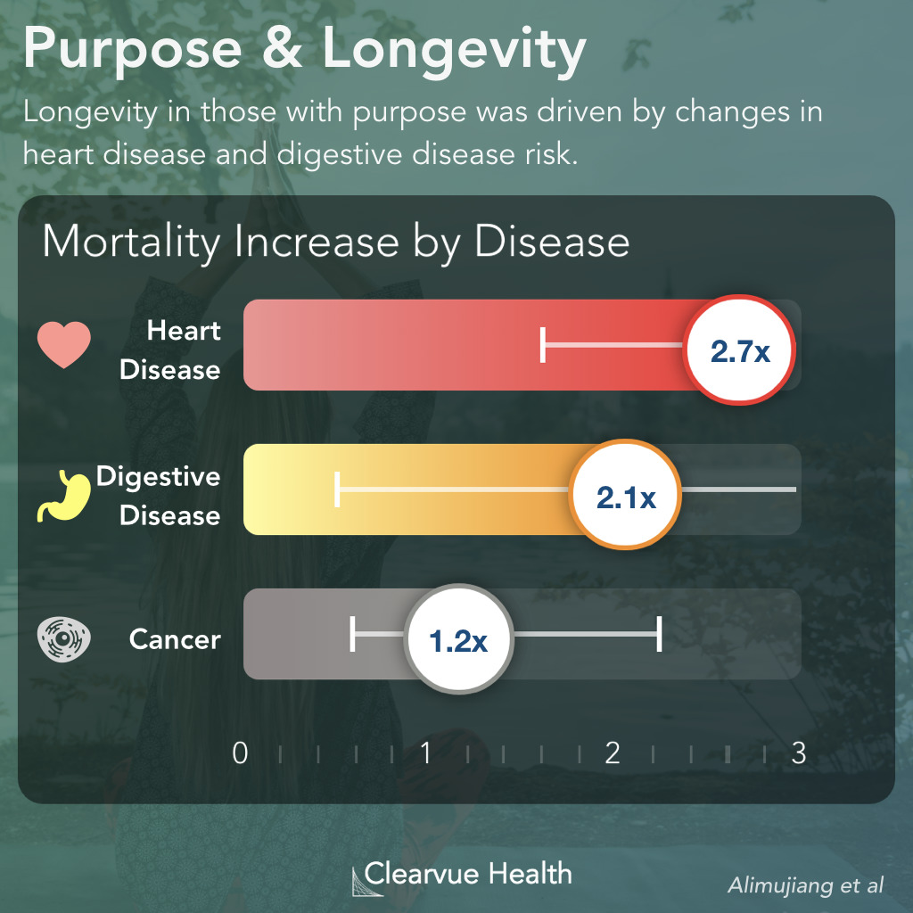 How Purpose Increases Life Expectancy