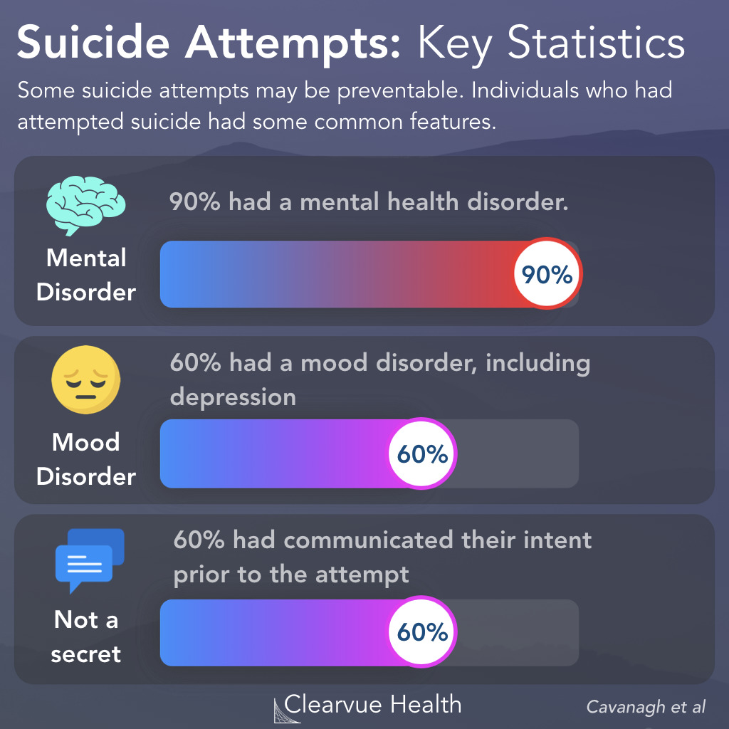 Key risk factors for suicide attempts
