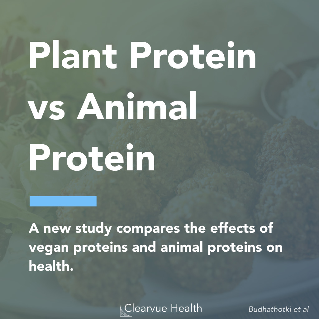 3 Charts | Vegan Protein vs Animal Protein | Visualized Science