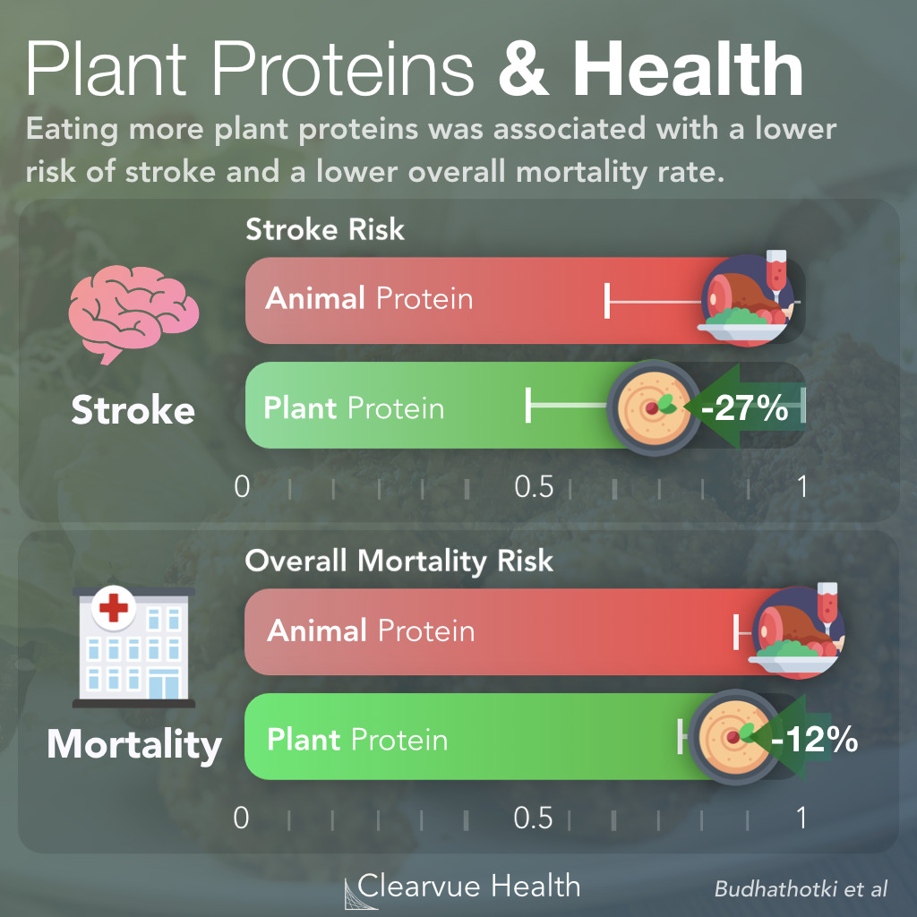 3 Charts | Vegan vs Animal | Visualized Science