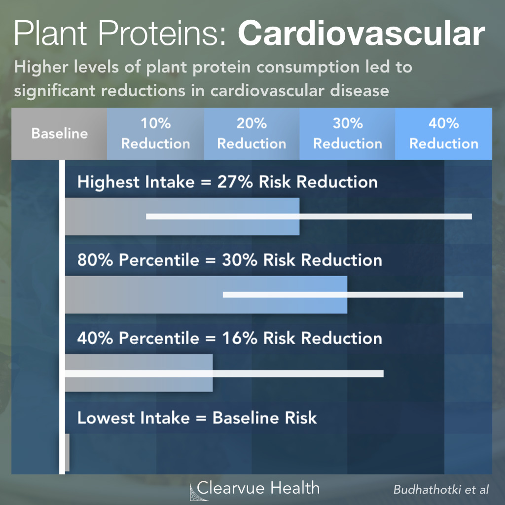 Vegan Protein & Cardiovascular Health