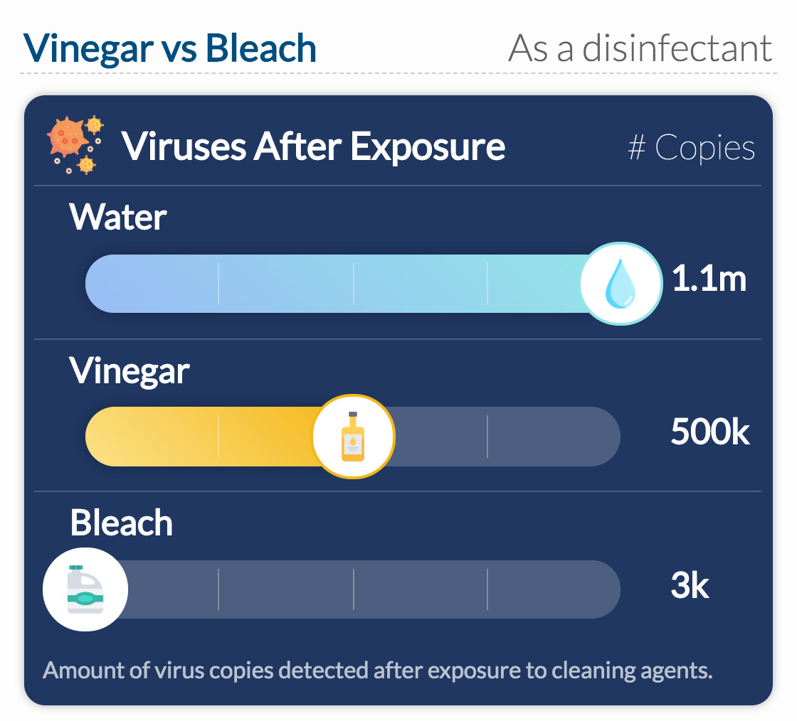 Vinegar vs Bleach vs Water for Cleaning