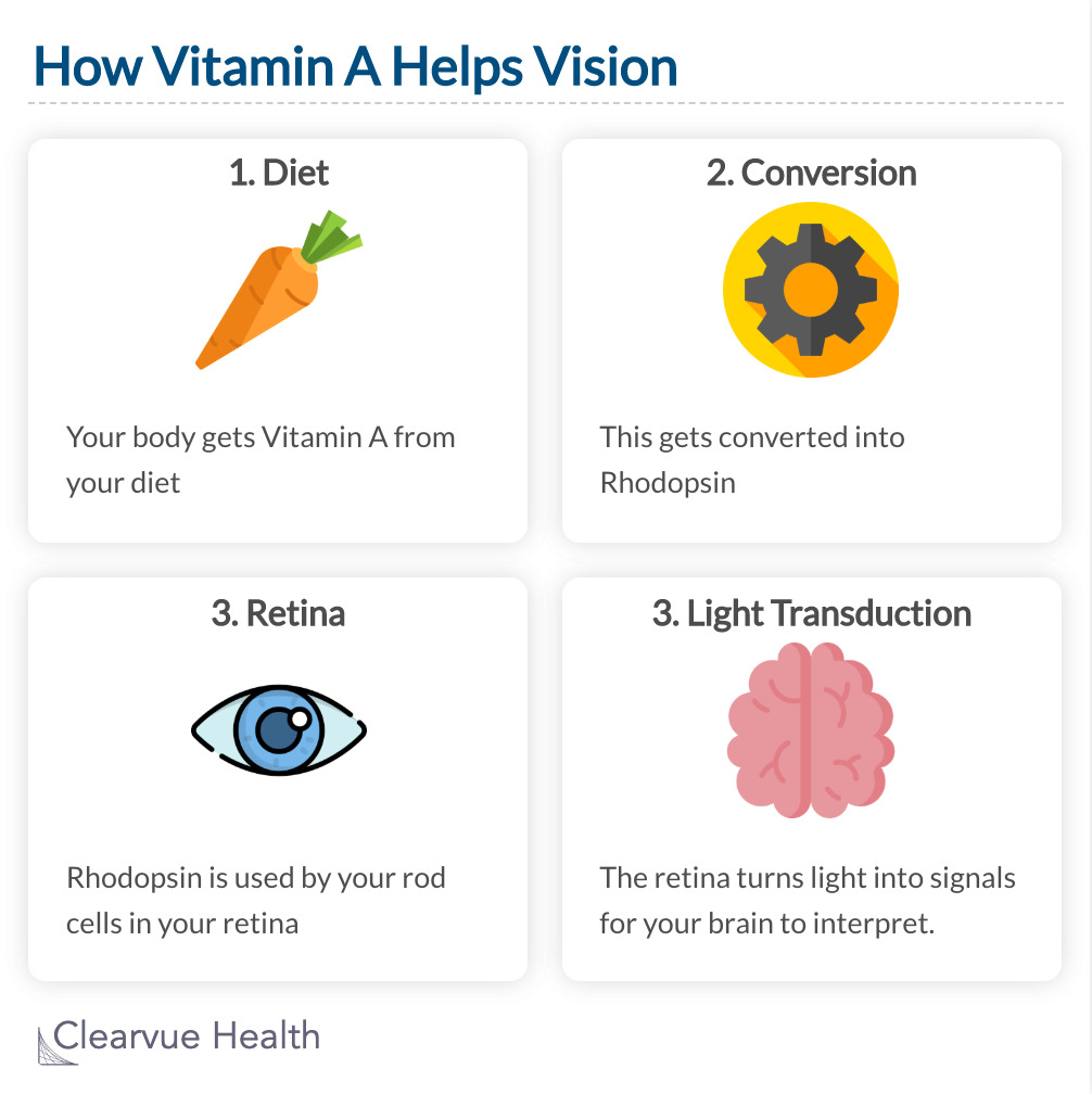 Vitamin A help see better? Infographics