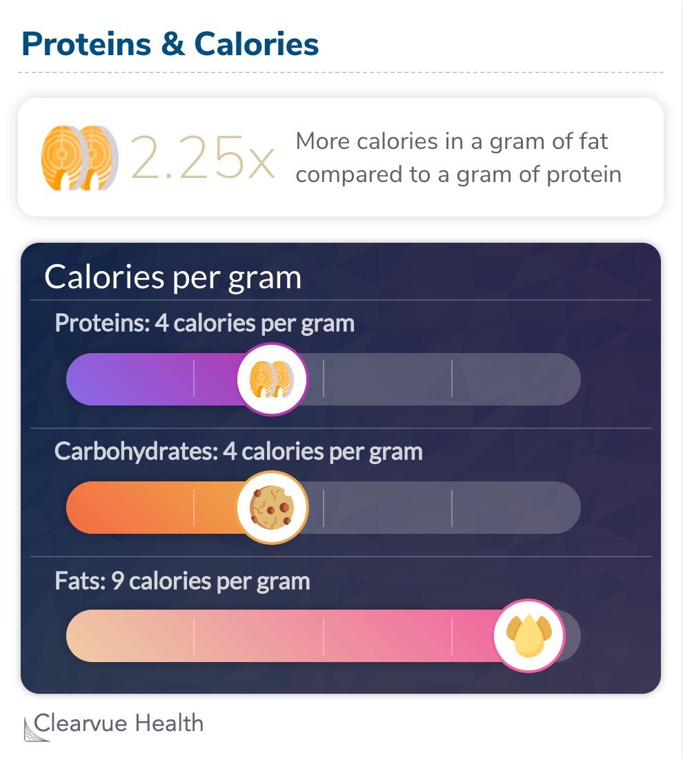 Protein and Calories