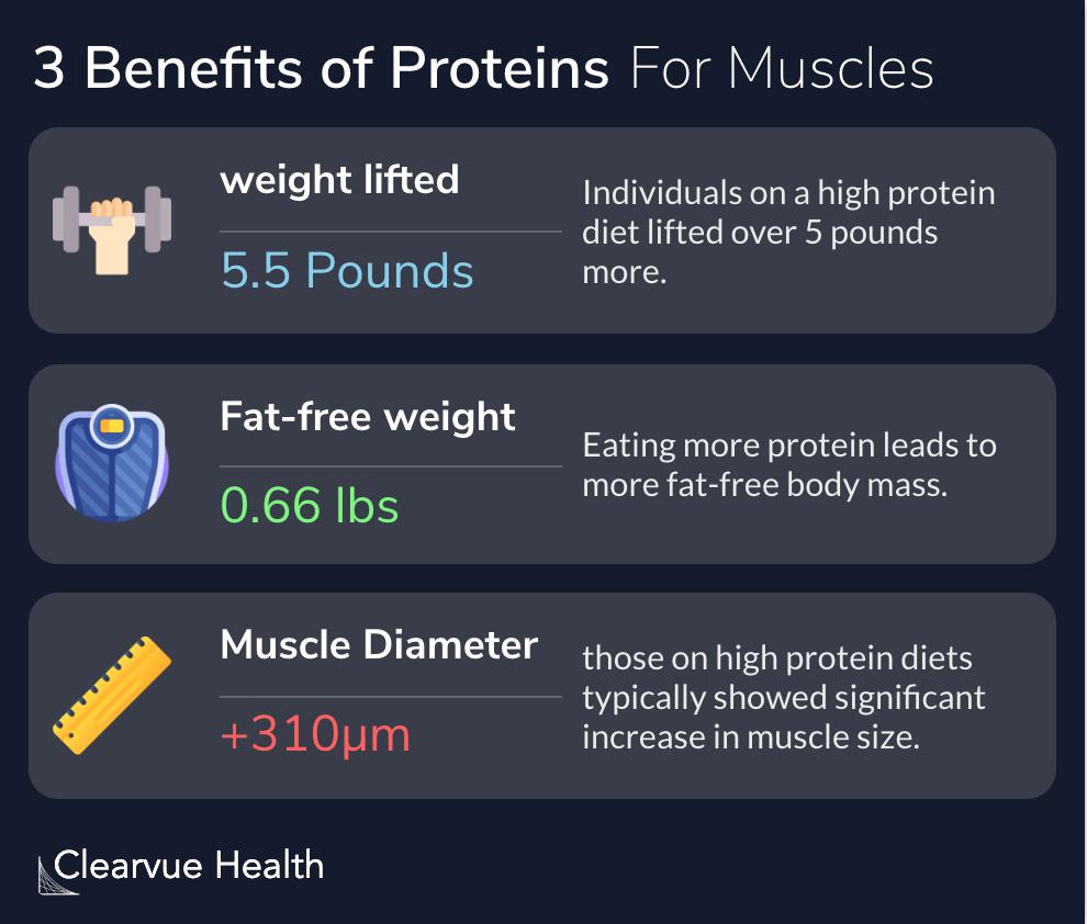 3 Benefits of Proteins for Muscles