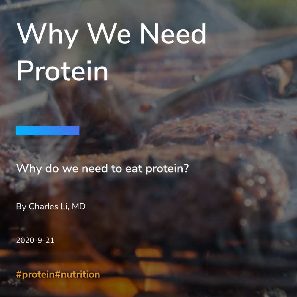 Why We Need Protein