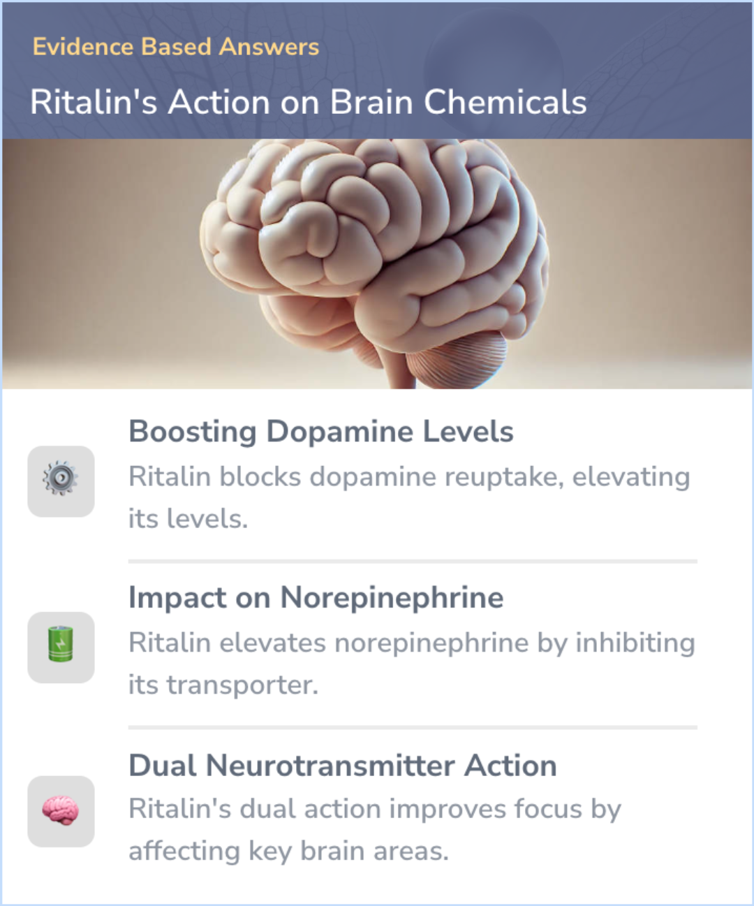 An infographic on What receptor does Ritalin work on?