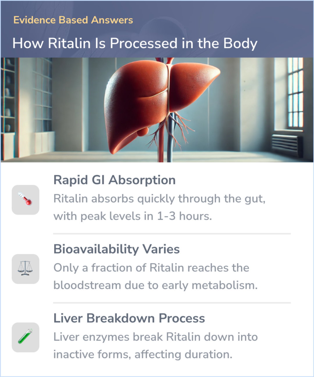 An infographic on How does your body digest Ritalin?