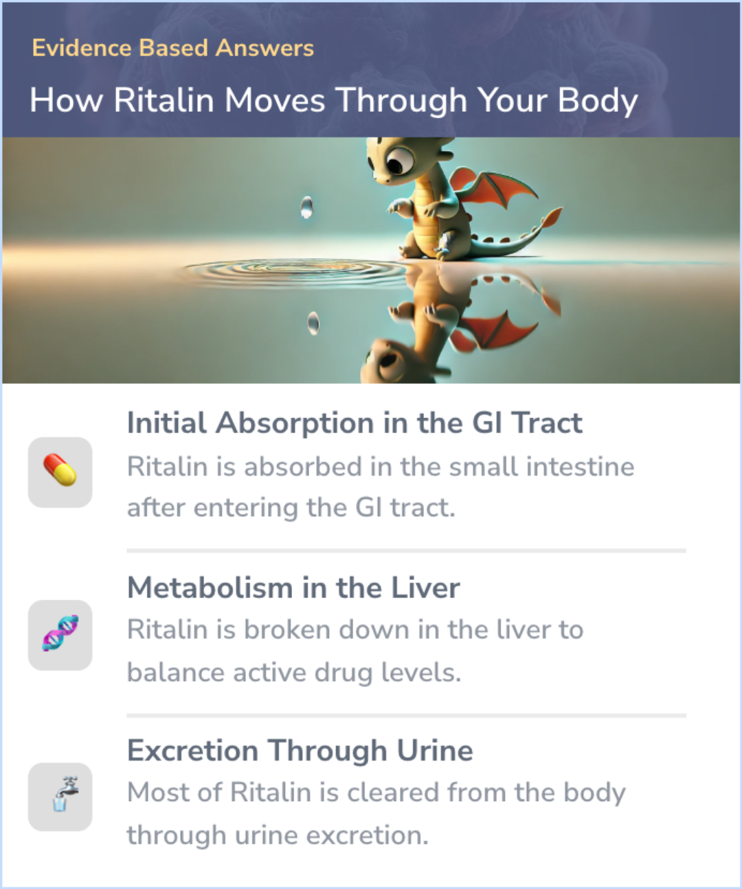 An infographic on How Ritalin is absorbed by your body
