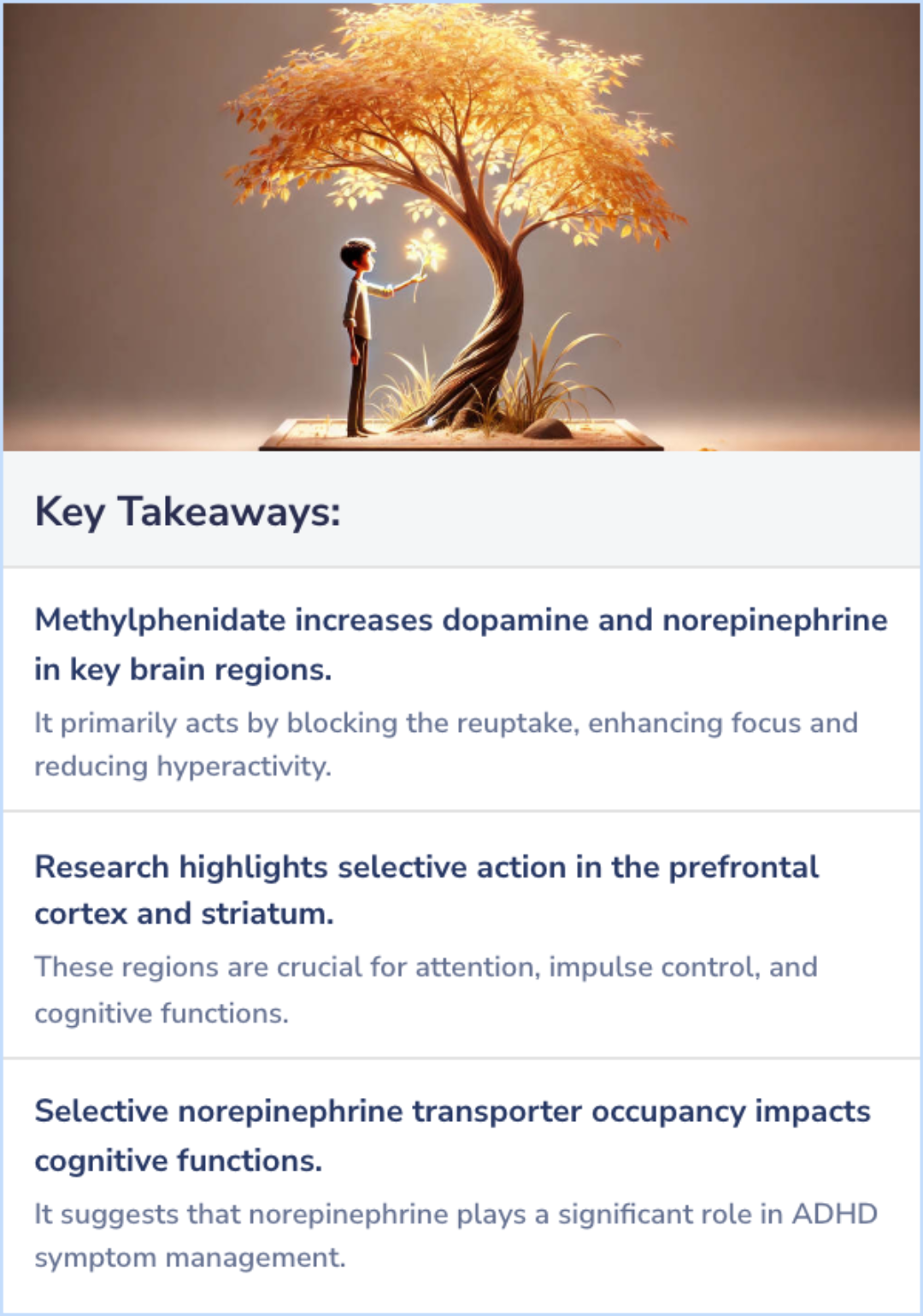 Key Takeaways for Studies on the effect of Methylphenidate on Neurotransmitters in the Brain
