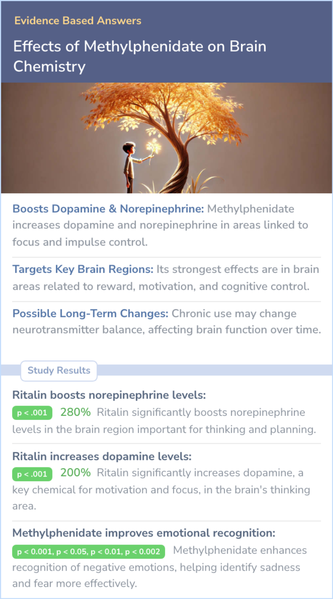 An infographic on Studies on the effect of Methylphenidate on Neurotransmitters in the Brain