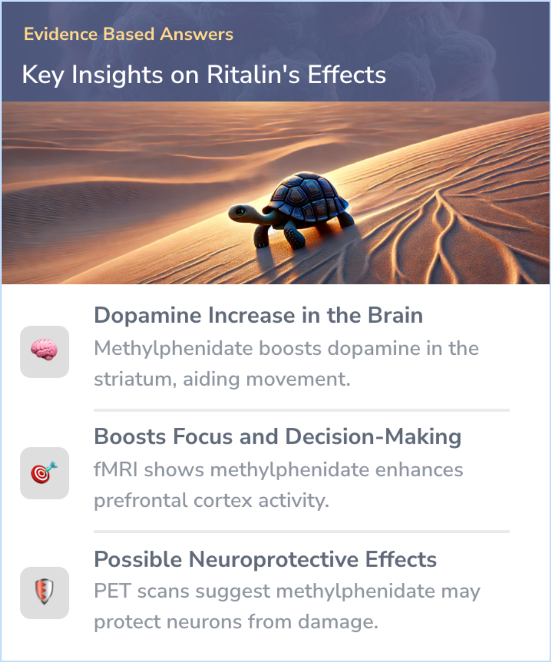 An infographic on Insights into Ritalin (methylphenidate) from Neuroimaging and fMRI