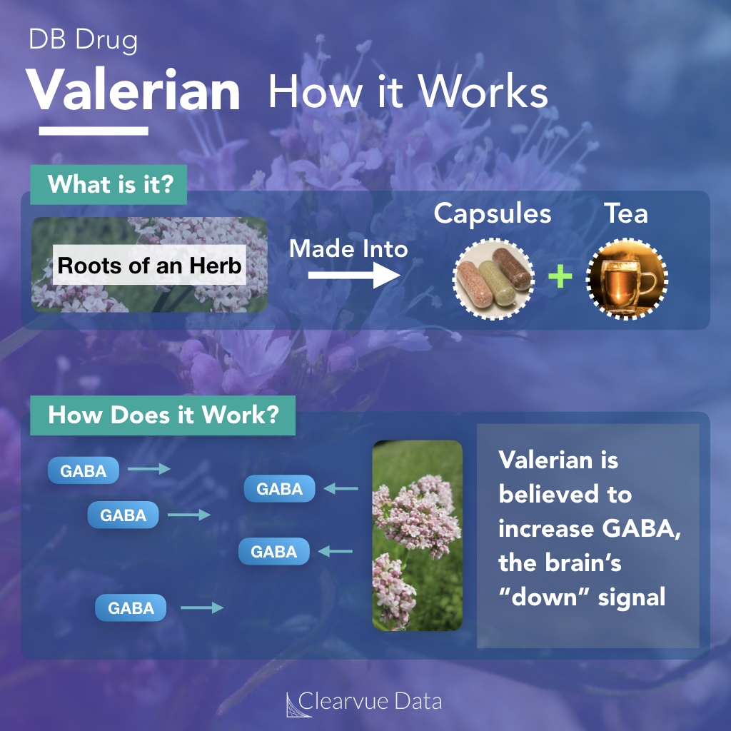 Valerian root works by increasing GABA