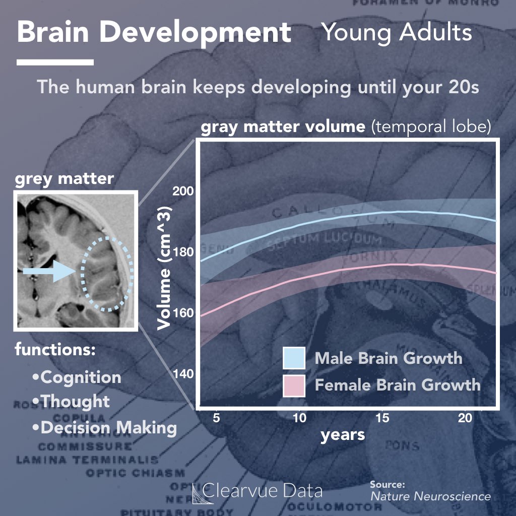 The human brain continues to grow in your 20s.